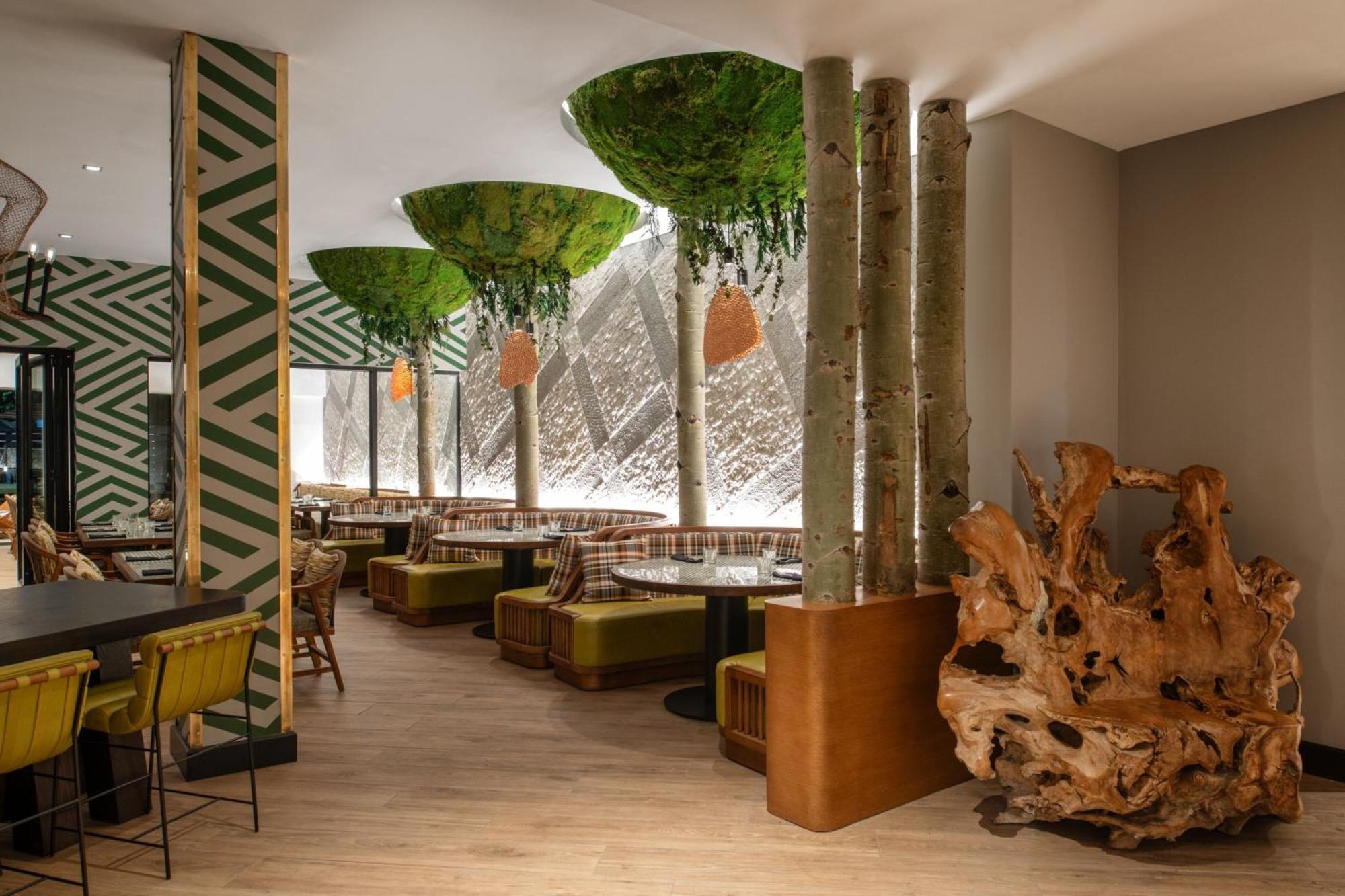 Paradox, Autograph Collection Hotel
